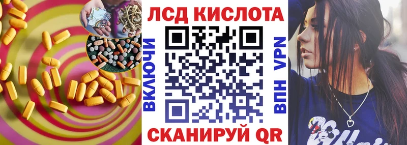дарнет шоп  Щёлково  Лсд 25 экстази кислота 